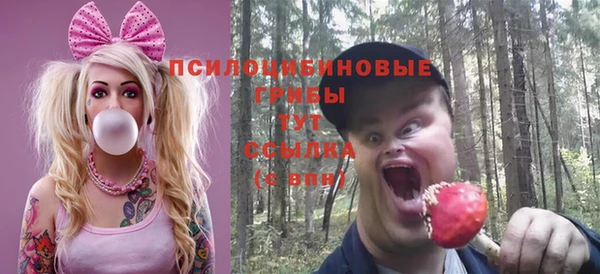 гидропоника Медвежьегорск