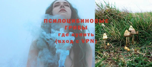 2c-b Мегион