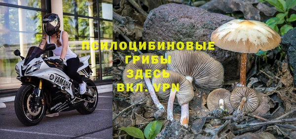 гидропоника Медвежьегорск